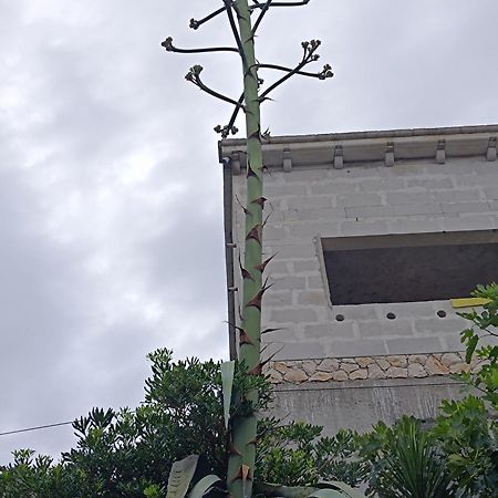 Apartmarin Trogir Eksteriør billede