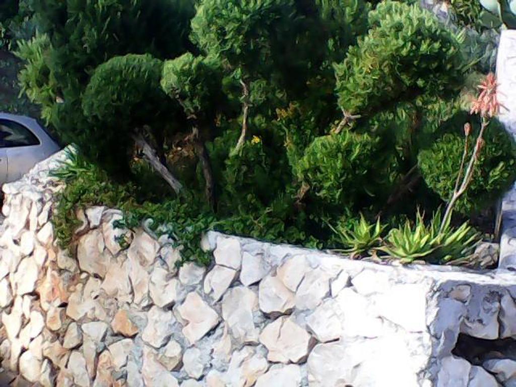 Apartmarin Trogir Værelse billede