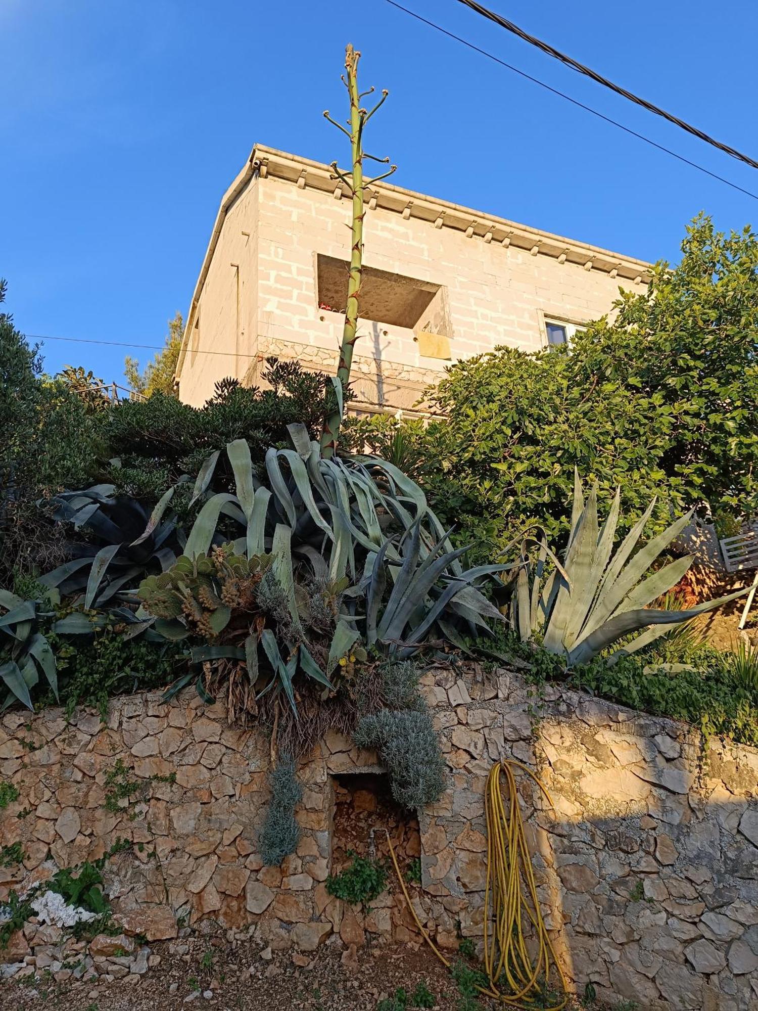 Apartmarin Trogir Eksteriør billede